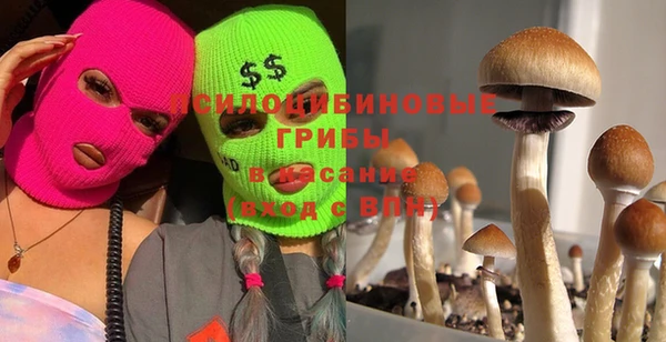 PSILOCYBIN Володарск